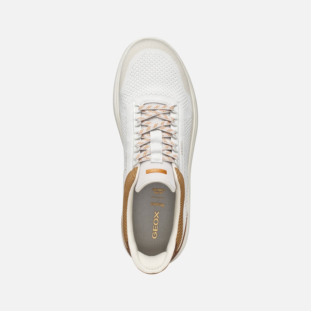 Slip in sneakers SPHERICA PLUS MAN Off White/Brown - image number 5 | GEOX