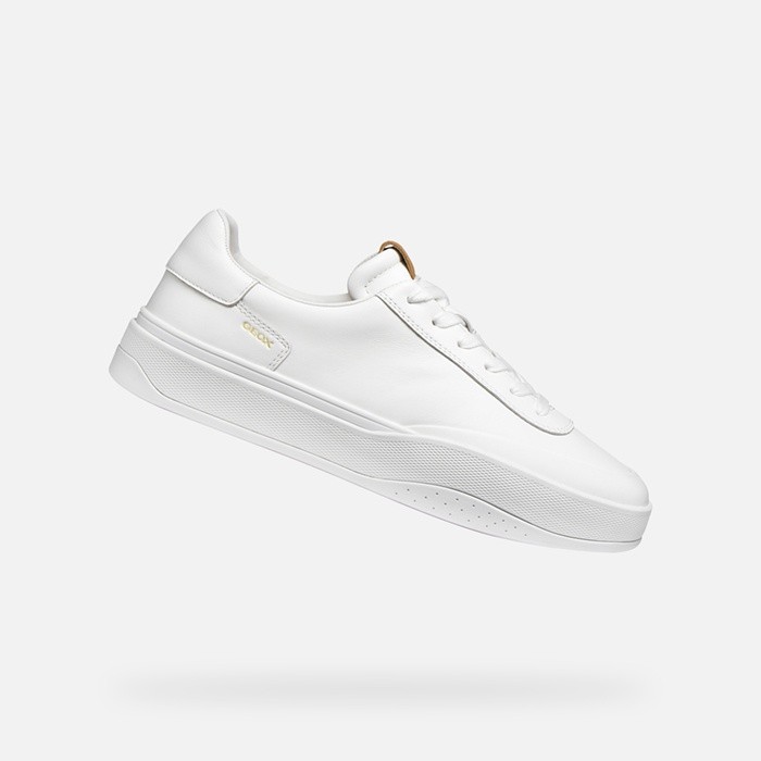 Low top sneakers DYNAMIA MAN White | GEOX