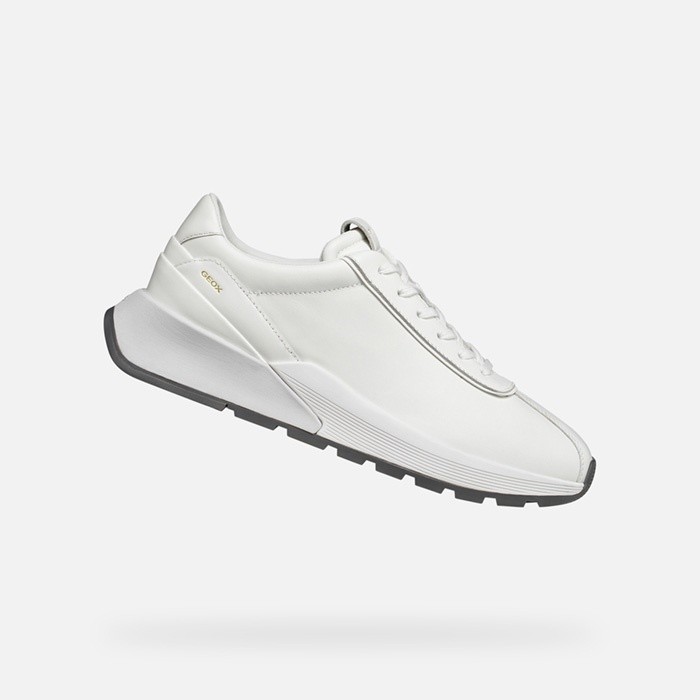 Low top sneakers METROPOLI MAN White | GEOX