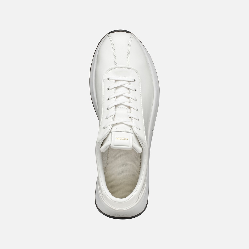Low top sneakers METROPOLI MAN White - image number 5 | GEOX