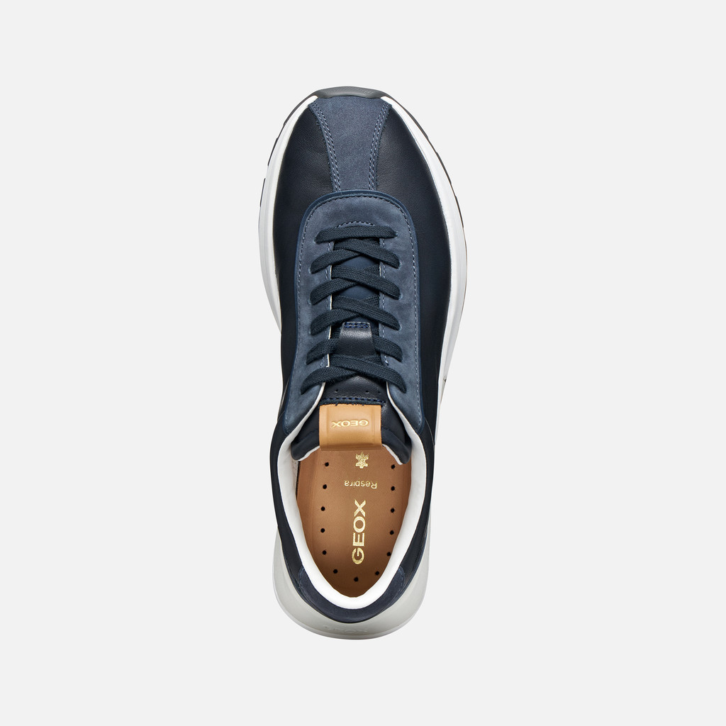 Low top sneakers METROPOLI MAN Navy/Dark Avio - image number 5 | GEOX