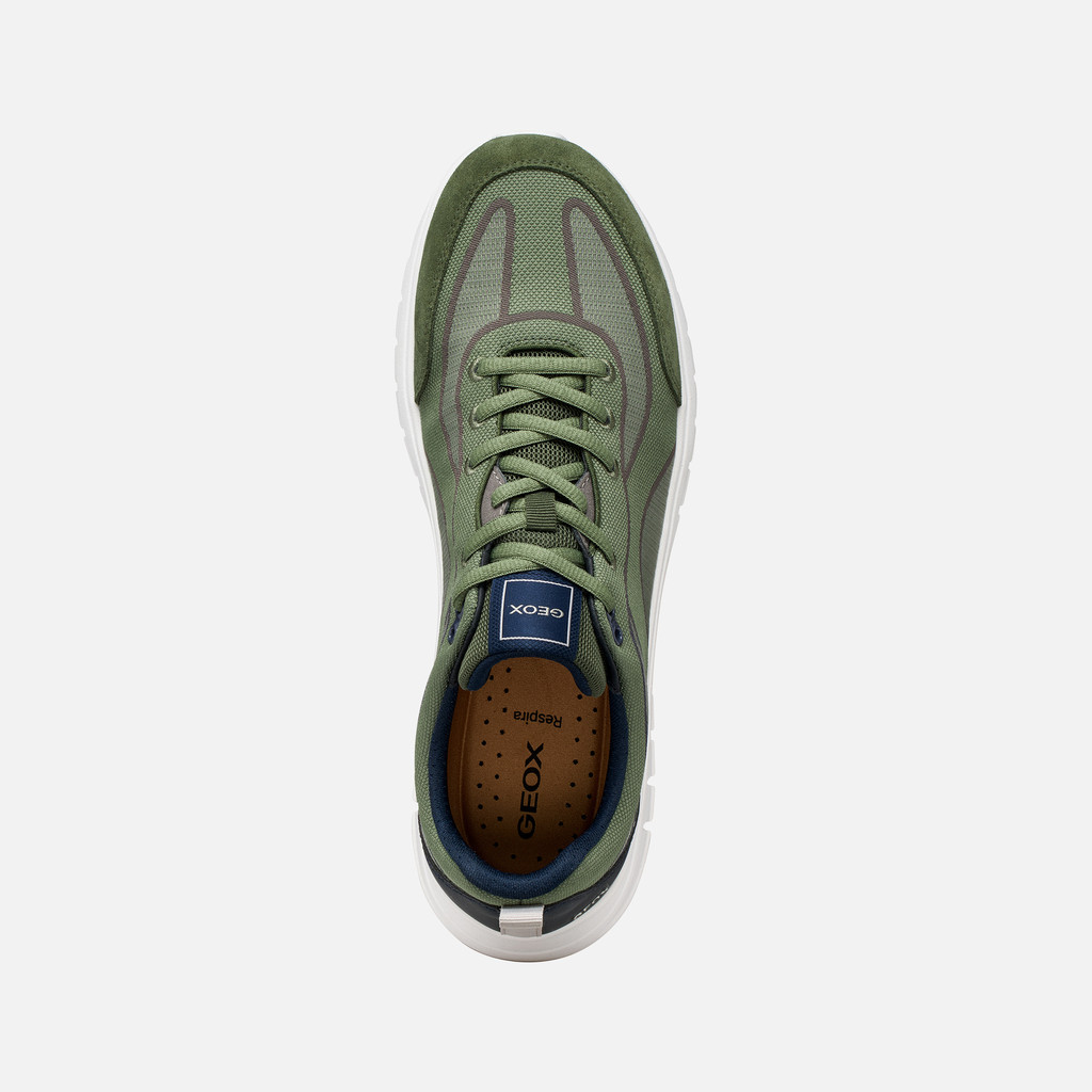 Low top sneakers FLEXTRIDE R MAN Musk - image number 5 | GEOX