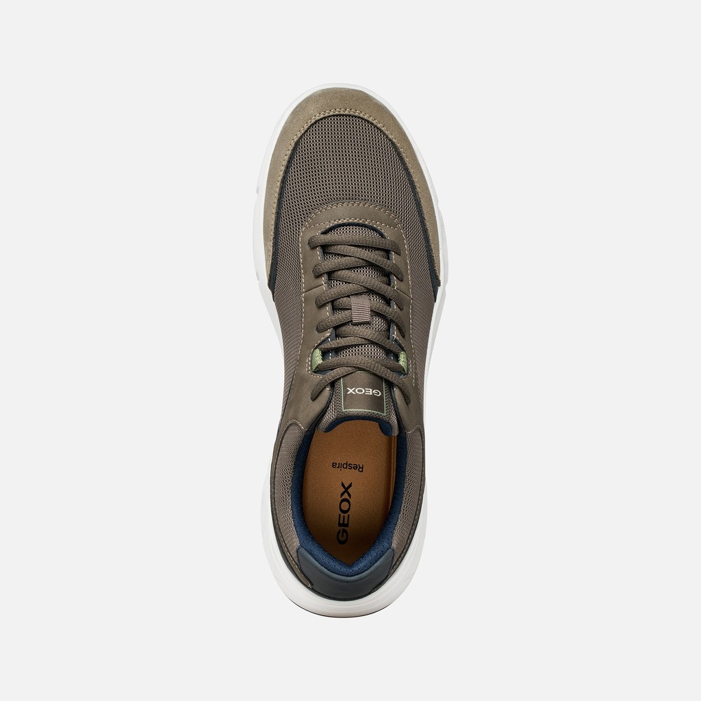 Low top sneakers VITTOUR MAN Dove grey - image number 5 | GEOX