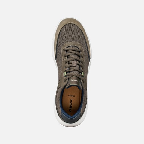 Low top sneakers VITTOUR MAN Dove grey - image number 5 | GEOX