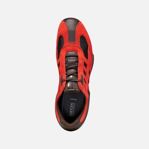 Baskets basse Vintage ARCHIVE SNAKE HOMME Marron/Rouge - image number 5 | GEOX