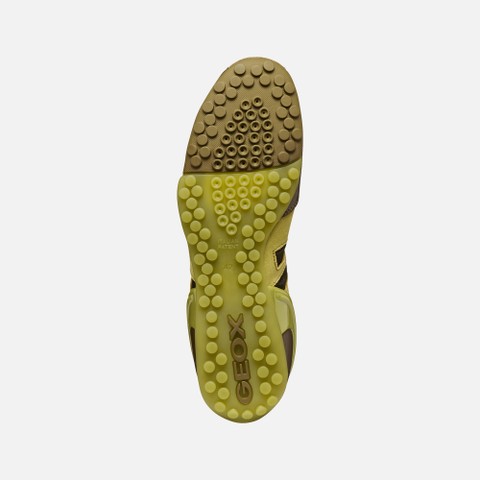 Baskets basse Vintage ARCHIVE SNAKE HOMME Vert moyen - image number 6 | GEOX