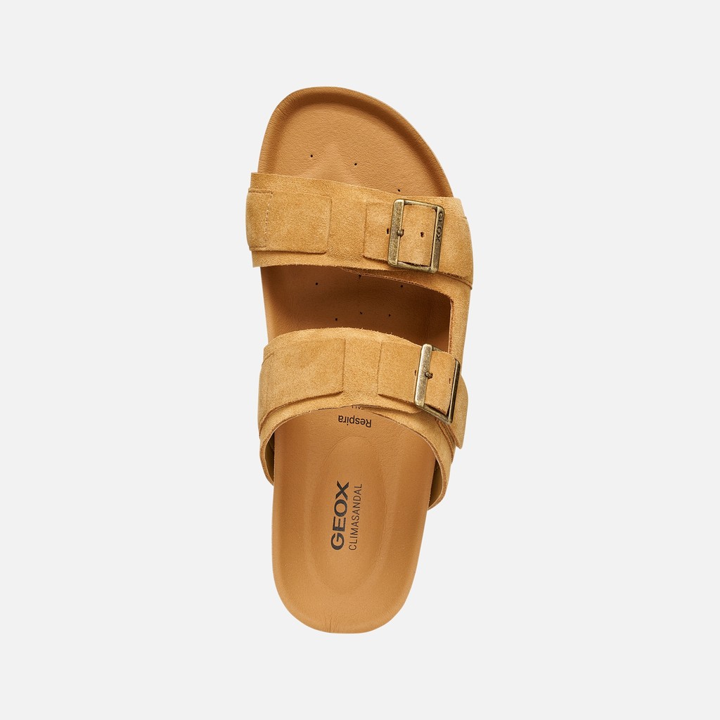 SANDALS CLIMASANDAL CORK MAN Whisky - image number 5 | GEOX
