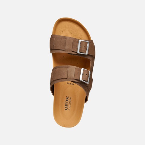 SANDALS CLIMASANDAL CORK MAN Brown - image number 5 | GEOX