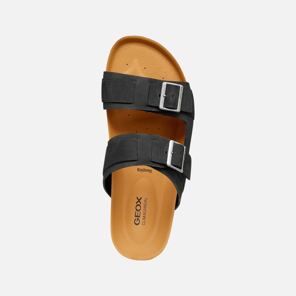 SANDALS CLIMASANDAL CORK MAN Black - image number 5 | GEOX