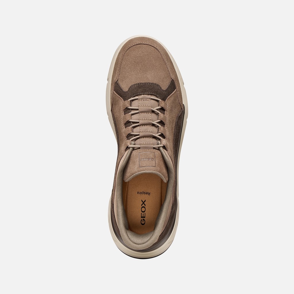Slip in sneakers VITTOUR PLUS MAN Taupe/Chocolate - image number 5 | GEOX