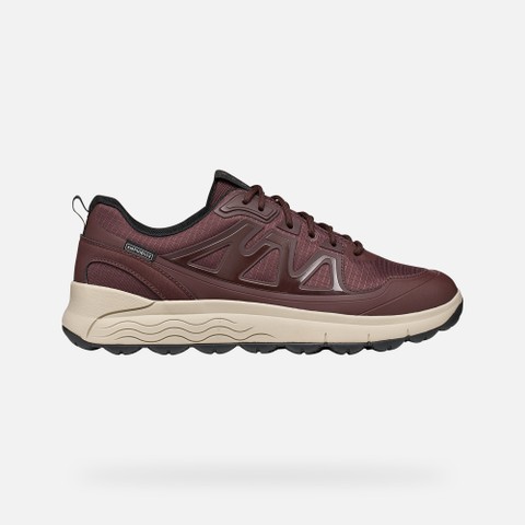 Waterproof trainers SPHERICA 4X4 ABX MAN Bordeaux - image number 1 | GEOX