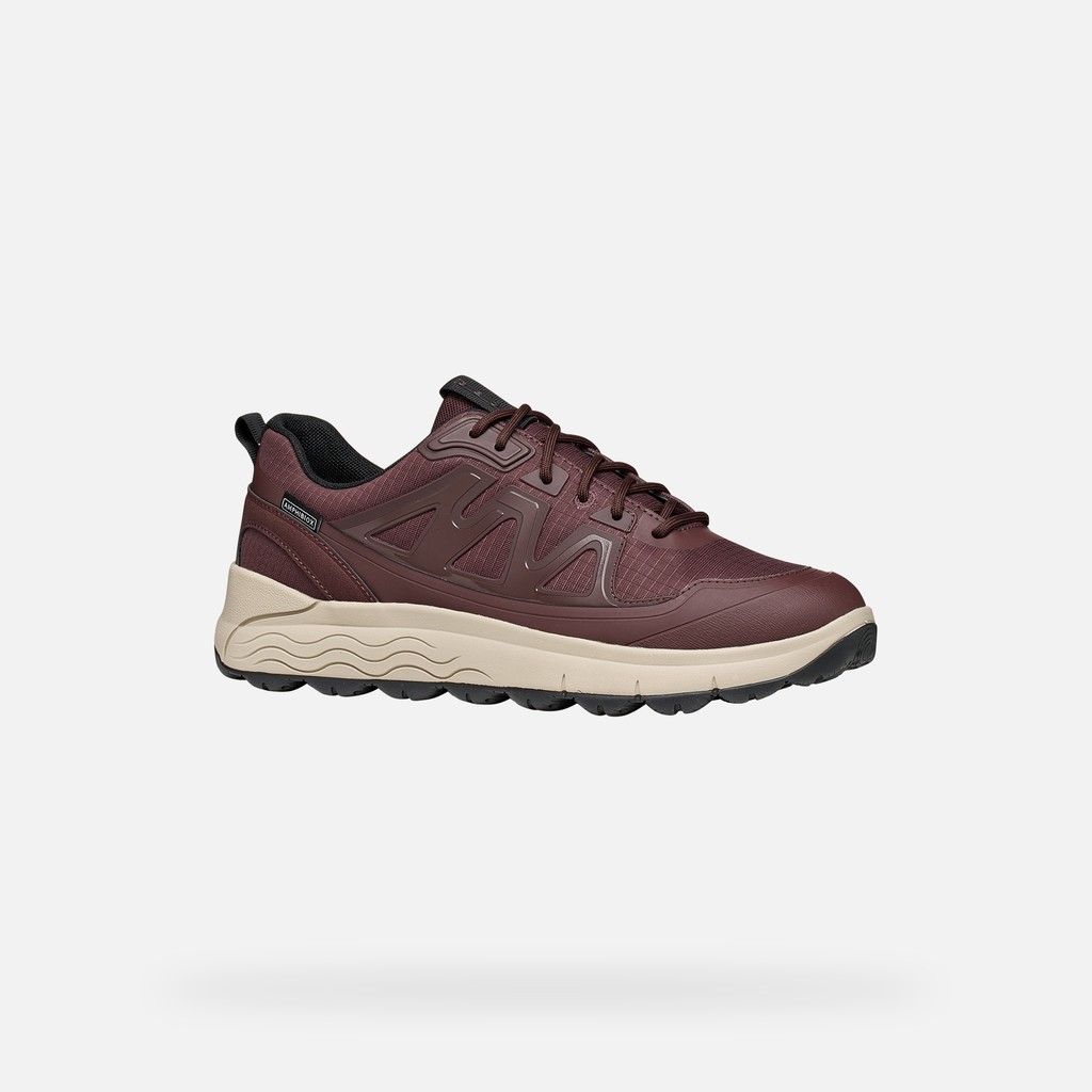 Waterproof trainers SPHERICA 4X4 ABX MAN Bordeaux - image number 2 | GEOX