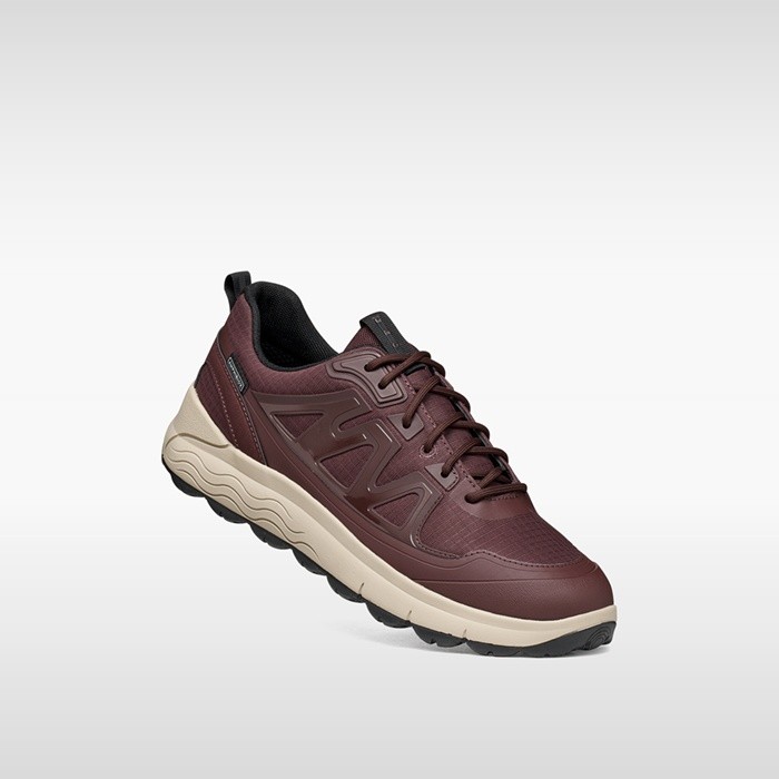 Waterproof trainers SPHERICA 4X4 ABX MAN Bordeaux | GEOX