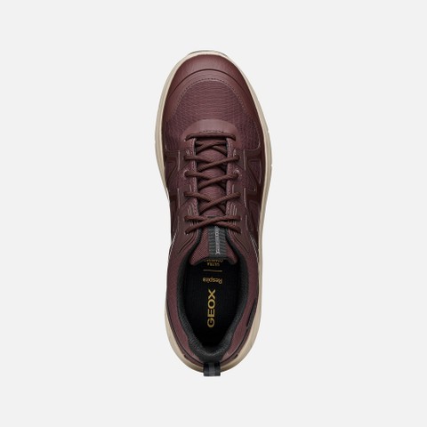 Waterproof trainers SPHERICA 4X4 ABX MAN Bordeaux - image number 5 | GEOX