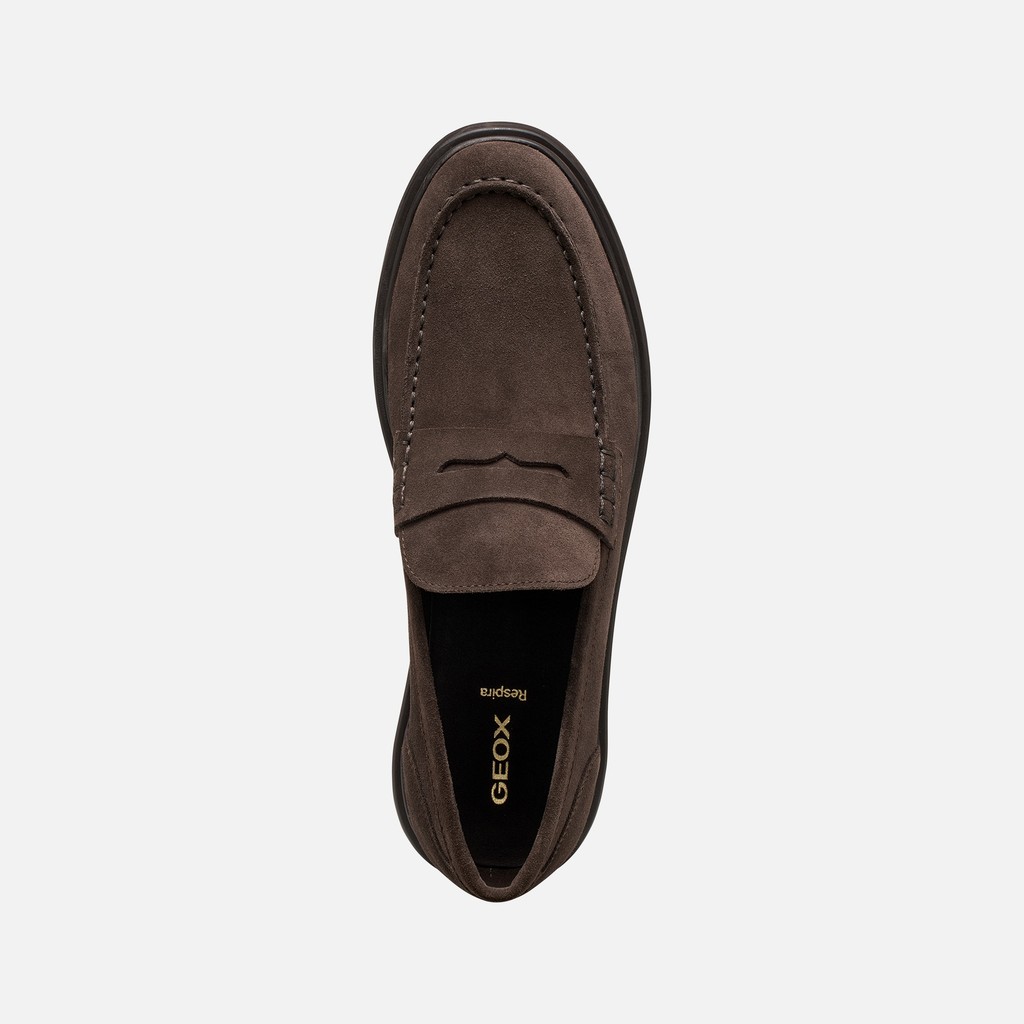 Suede loafers MASSIMIANO MAN Chocolate - image number 5 | GEOX