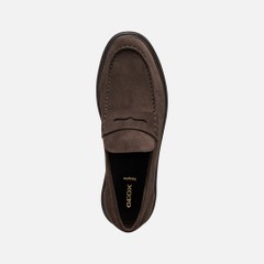 massimiano man — chocolate 7