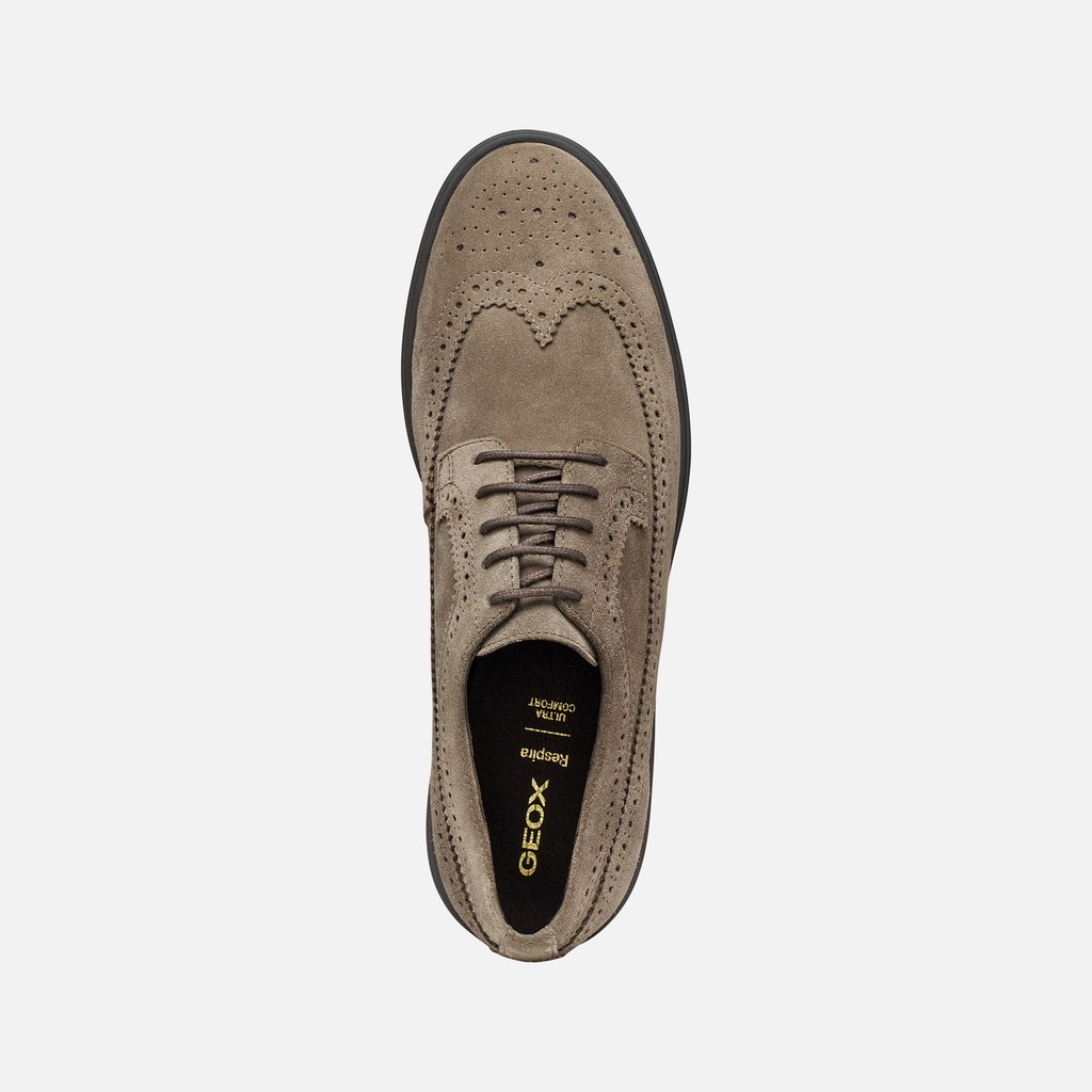 Schn&uuml;rschuhe SPHERICA EC17 HERR Taube - image number 5 | GEOX