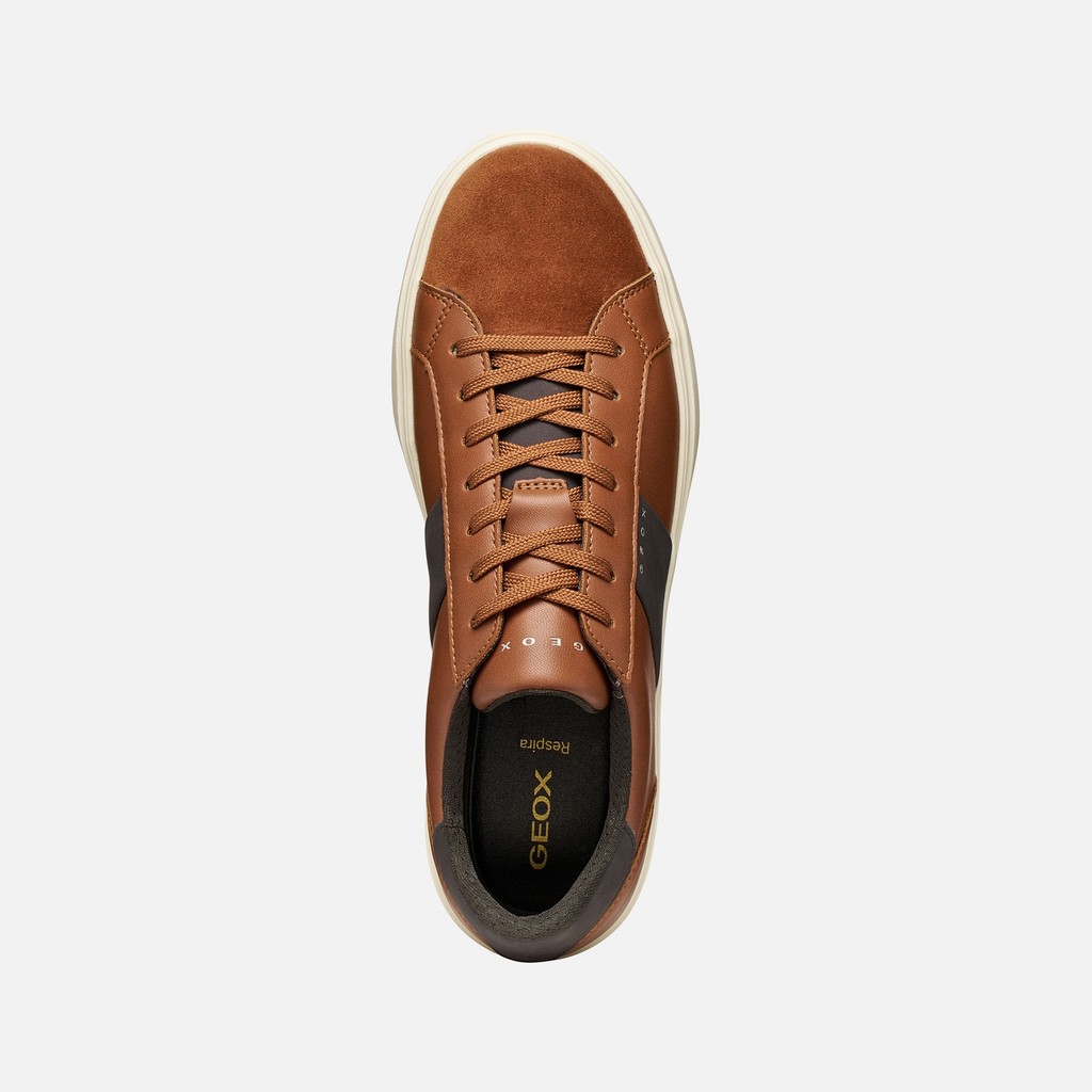 Sneakers mit Schn&uuml;rsenkeln BALTMOORE HERR Cognac - image number 6 | GEOX
