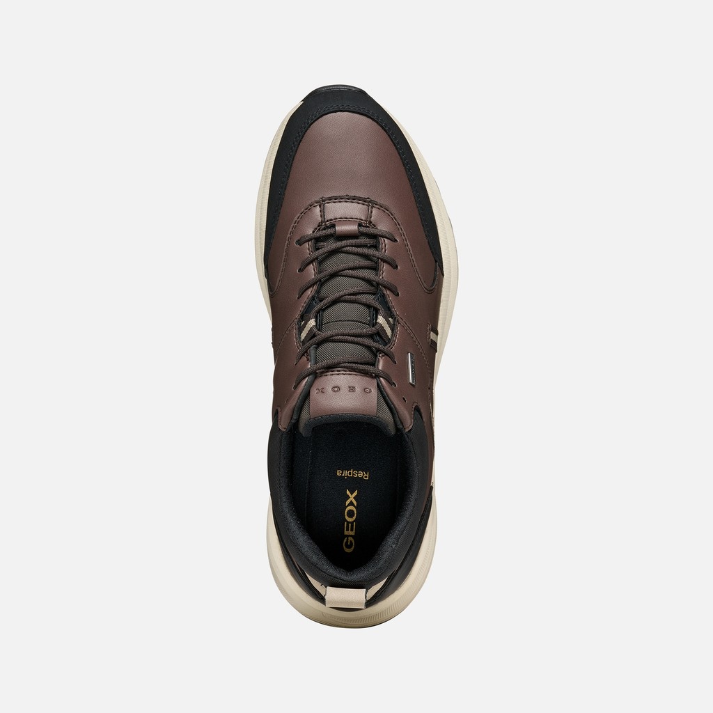 Sneakers imperm&eacute;ables SENALES ABX HOMME Marron/Noir - image number 6 | GEOX