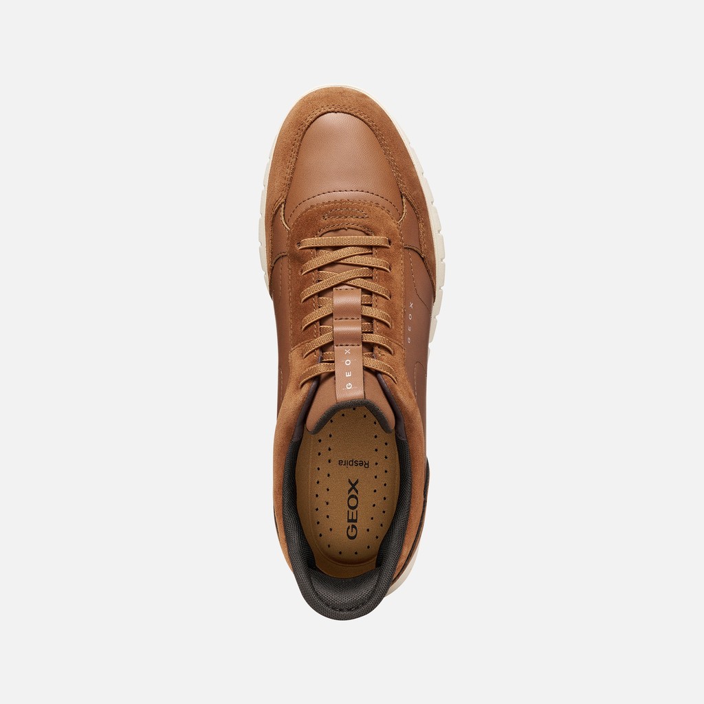 Slip in sneakers FLEXTRIDEZERO PLUS MAN Cognac - image number 5 | GEOX