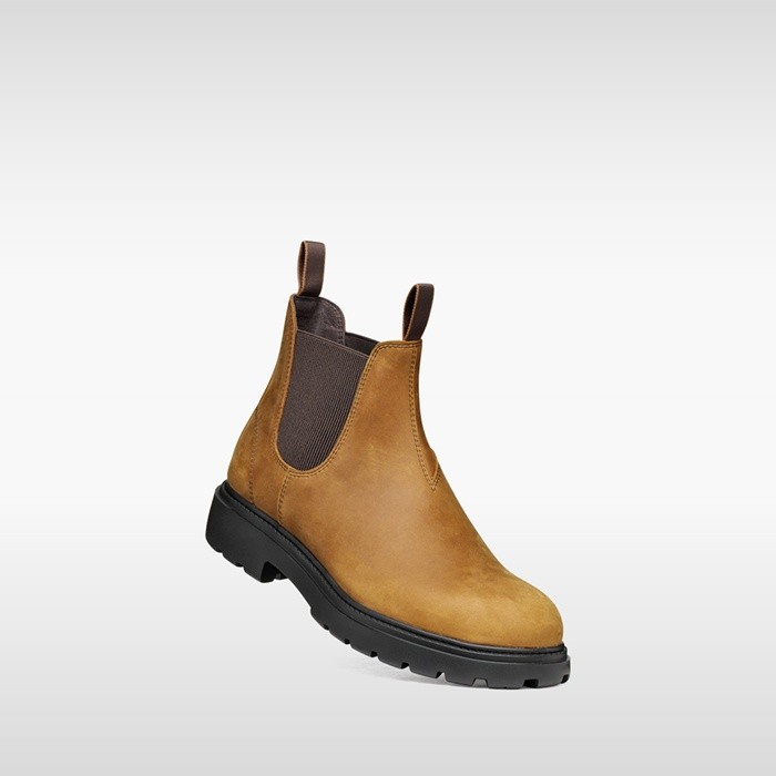Chelsea boots SPHERICA EC7 B MAN Ochre/Chocolate | GEOX
