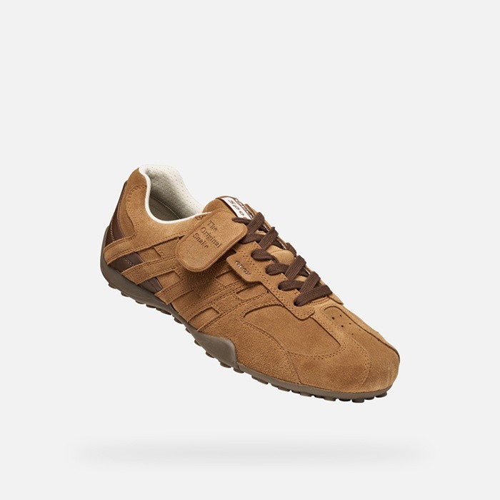 Vintage low top sneakers SNAKE MAN Nut | GEOX
