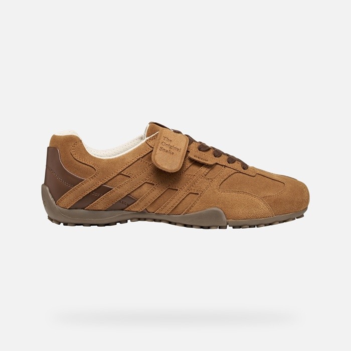 Vintage low top sneakers SNAKE MAN Nut | GEOX