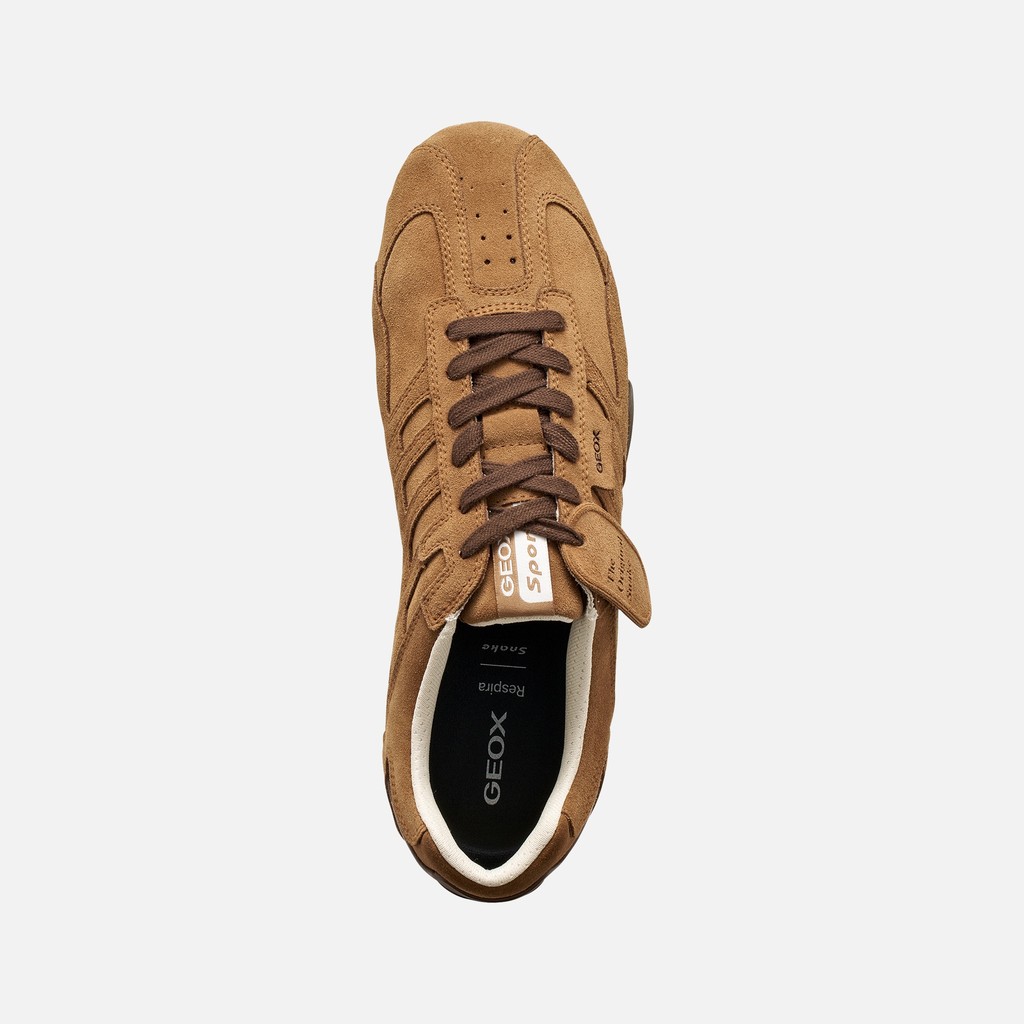 Vintage low top sneakers SNAKE MAN Nut - image number 5 | GEOX