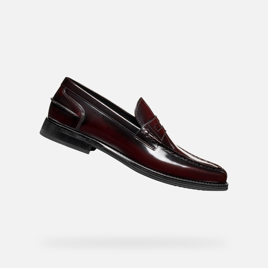 Leather loafers ELLMOOR MAN Dark Burgundy - image number 0 | GEOX