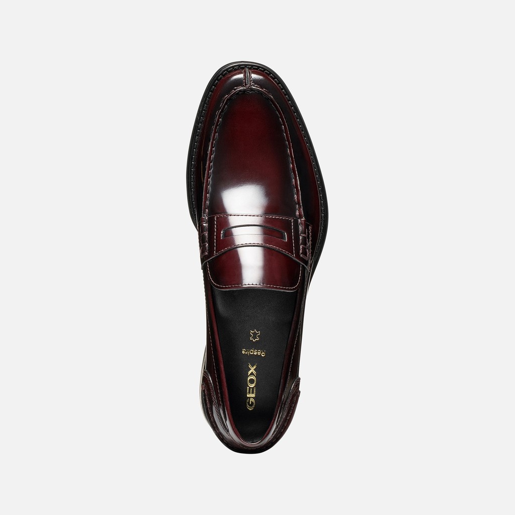Leather loafers ELLMOOR MAN Dark Burgundy - image number 5 | GEOX
