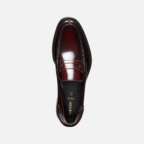 Leather loafers ELLMOOR MAN Dark Burgundy - image number 5 | GEOX