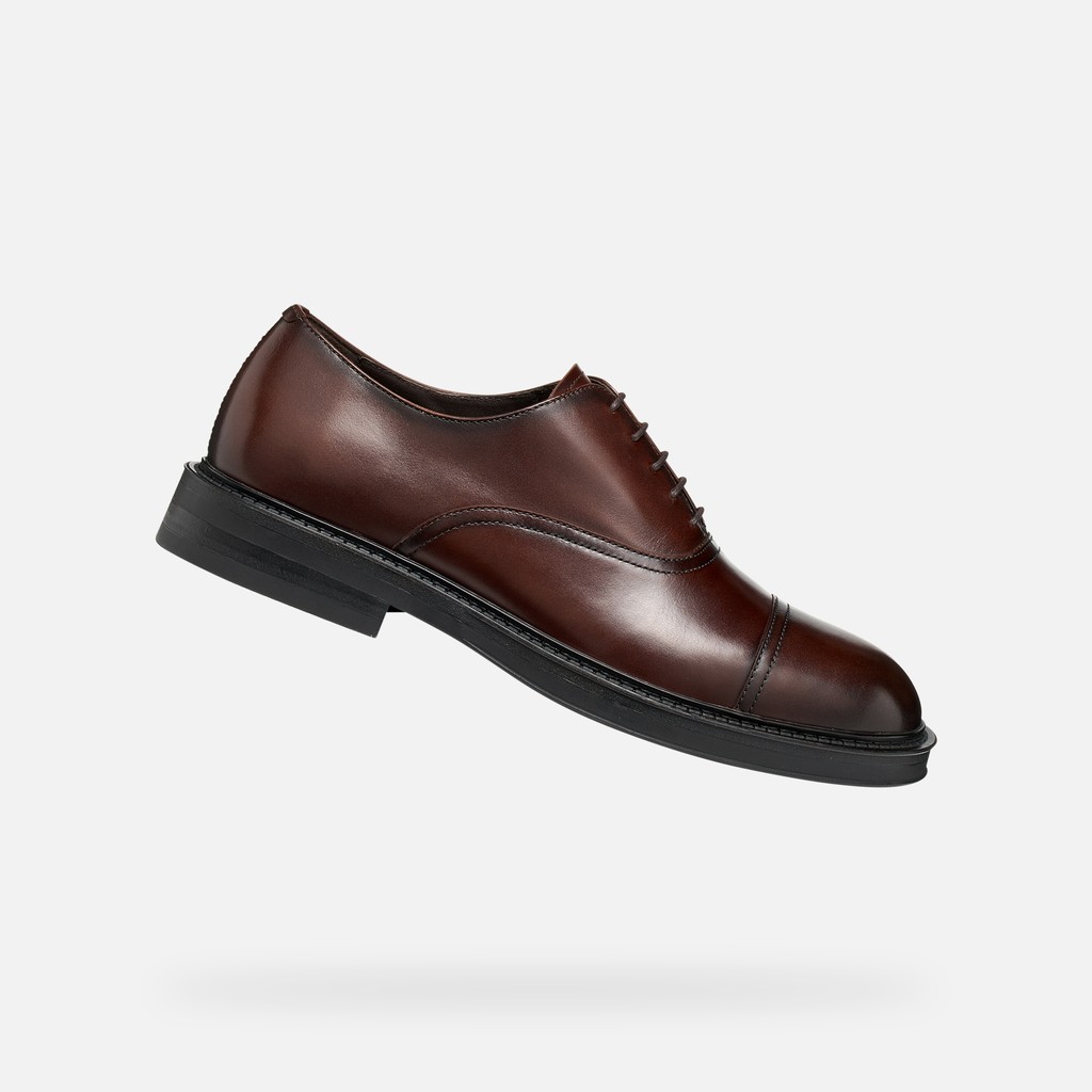 Leather oxfords BEXFORD MAN Coffee - image number 0 | GEOX