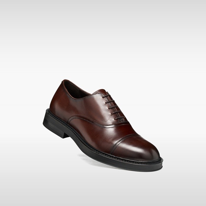 Leather oxfords BEXFORD MAN Coffee | GEOX