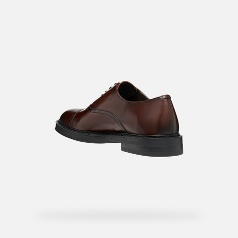 Leather oxfords BEXFORD MAN Coffee - image number 4 | GEOX