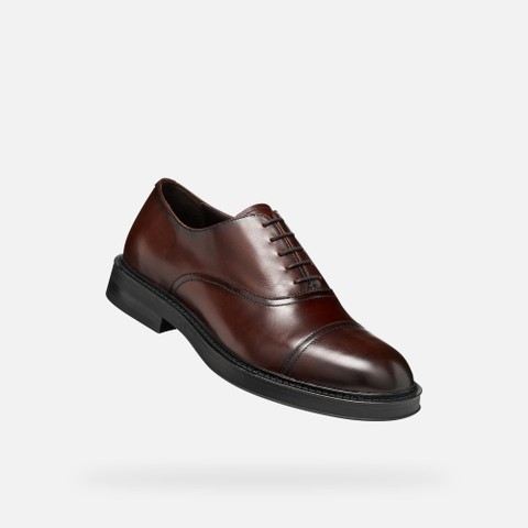 Leather oxfords BEXFORD MAN Coffee - image number 5 | GEOX