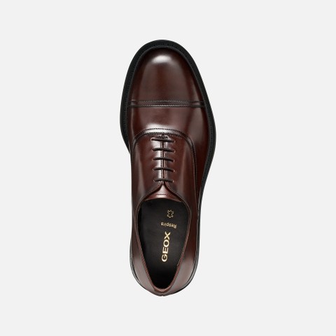 Leather oxfords BEXFORD MAN Coffee - image number 6 | GEOX