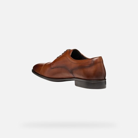 Leather oxfords THALOS MAN Cognac - image number 3 | GEOX