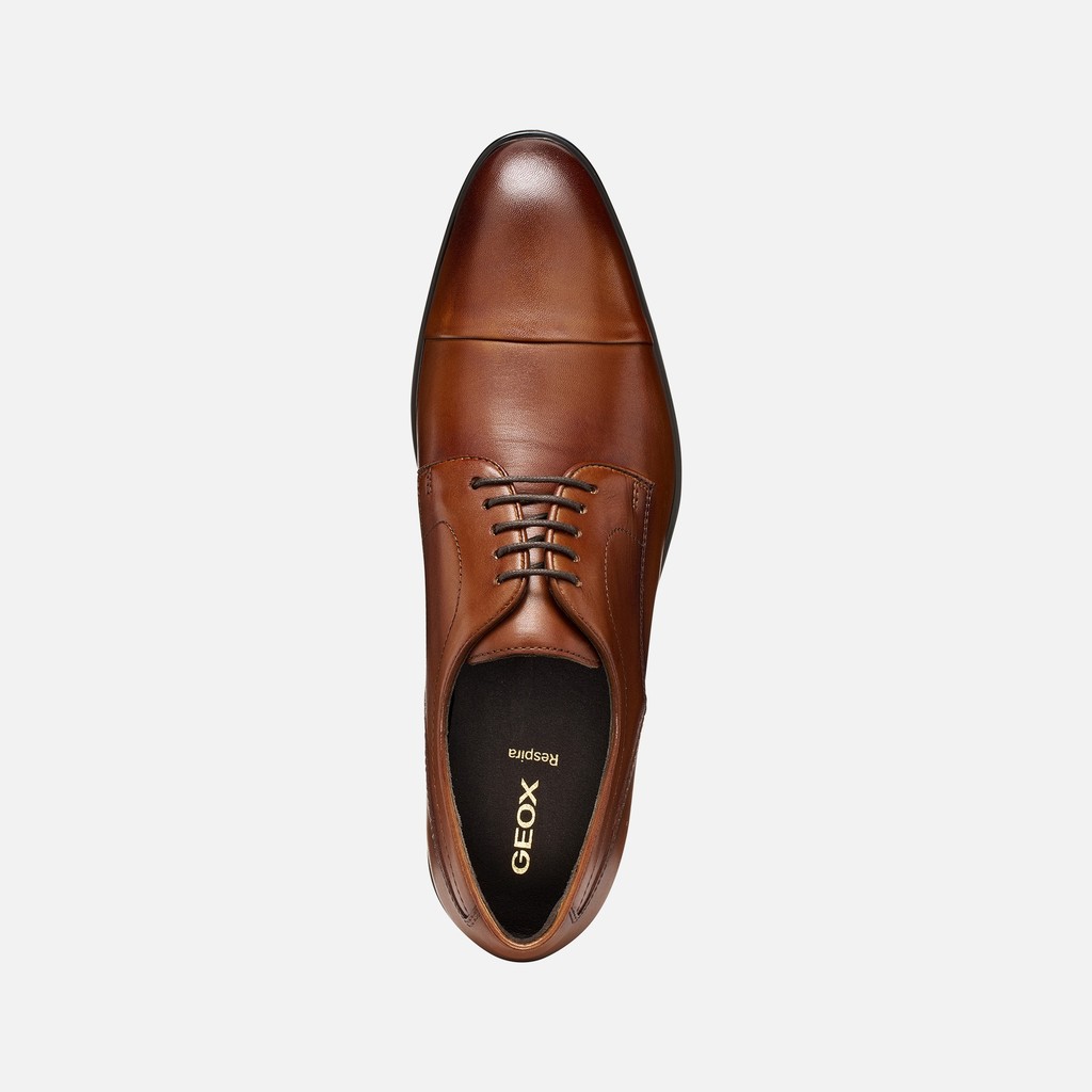 Leather oxfords THALOS MAN Cognac - image number 5 | GEOX