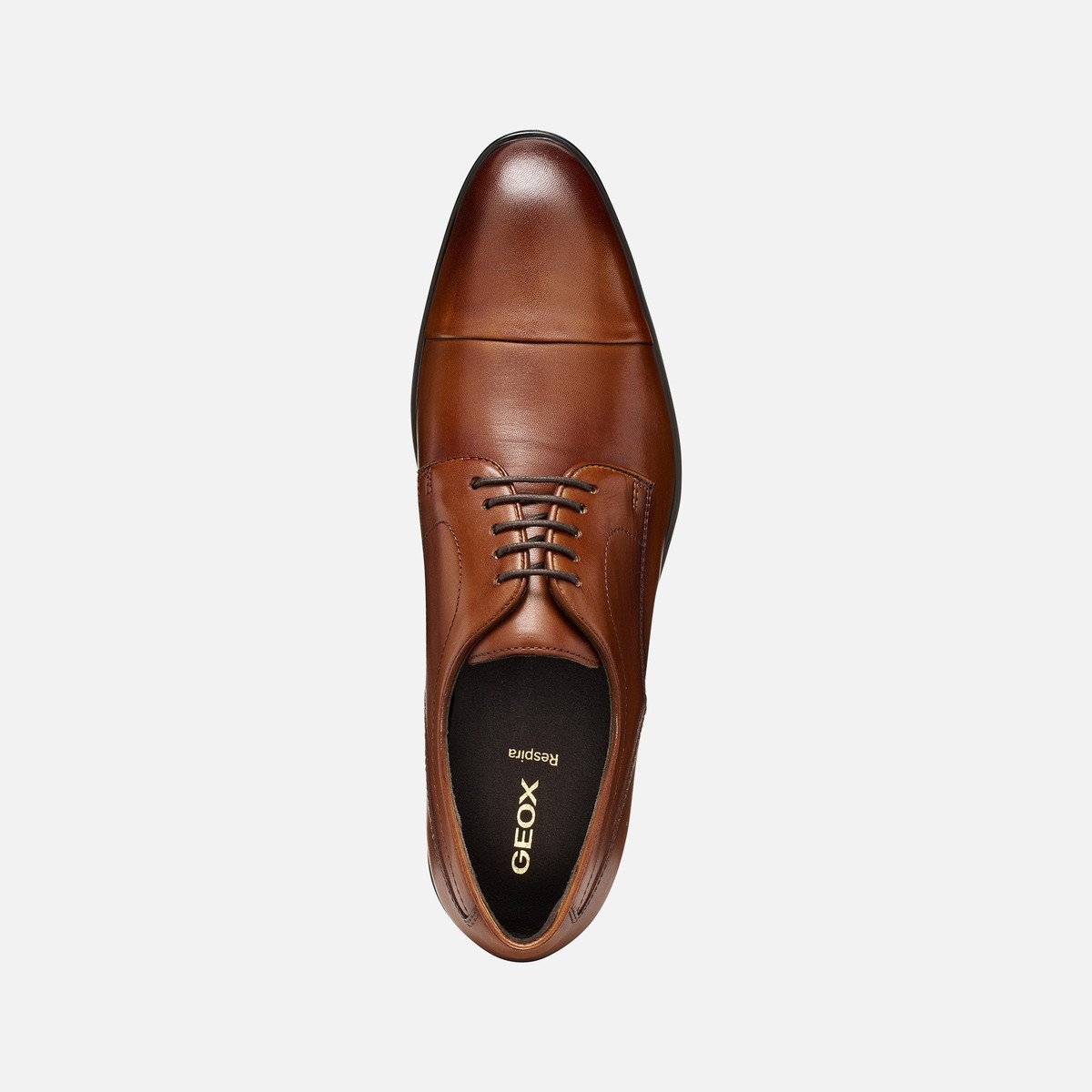 thalos man — cognac
