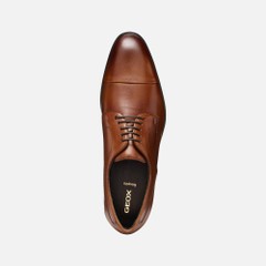thalos man — cognac 7