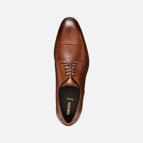 Leather oxfords THALOS MAN Cognac - image number 5 | GEOX
