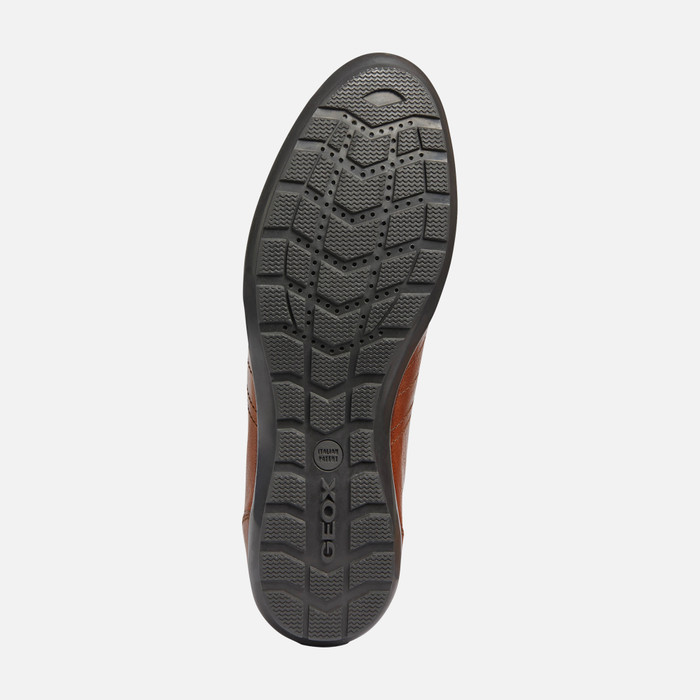 Controversia capacidad Discurso Geox® SYMBOL Man: Roast chestnut Shoes | Geox® Online Store