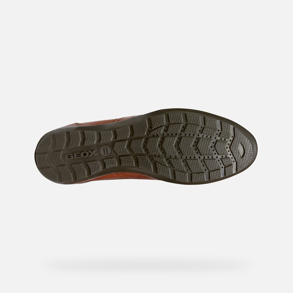 Leather shoes SYMBOL MAN Brown cotto - image number 7 | GEOX