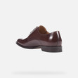 Categoria nascosta per master products SAYMORE MAN null - image number 3 | GEOX