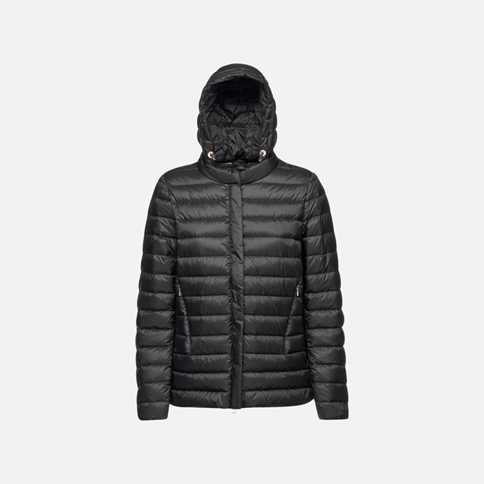 Short down jacket JAYSEN WOMAN Black | GEOX