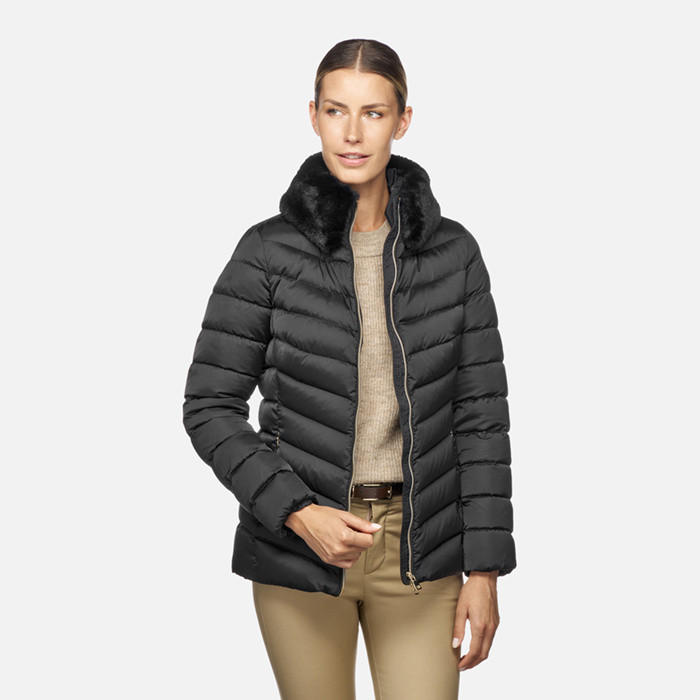 Kurze daunenjacke BETTANIE DAME Schwarz | GEOX