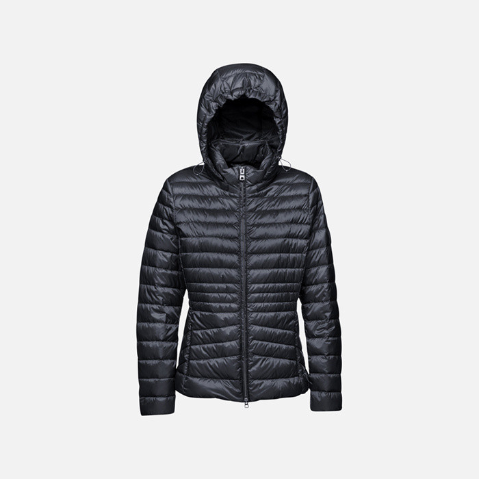 Short down jacket JAYSEN WOMAN Sky captain | GEOX