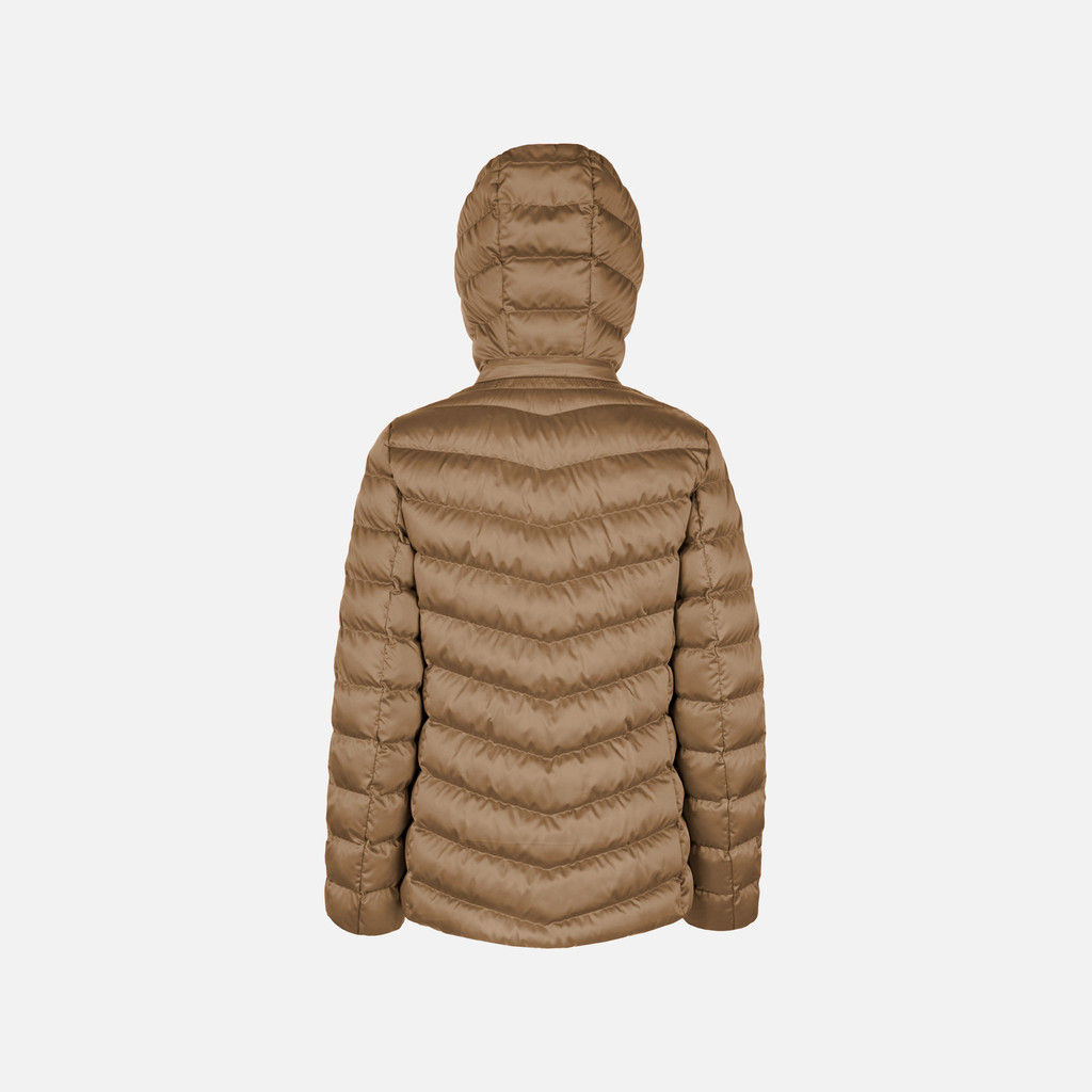 Quilted jacket ZOSMA WOMAN Hazelnut Brown - image number 2 | GEOX