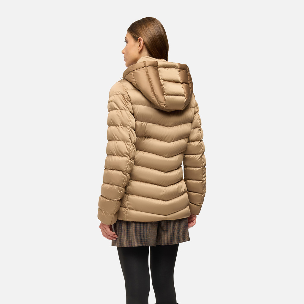 Quilted jacket ZOSMA WOMAN Hazelnut Brown - image number 2 | GEOX
