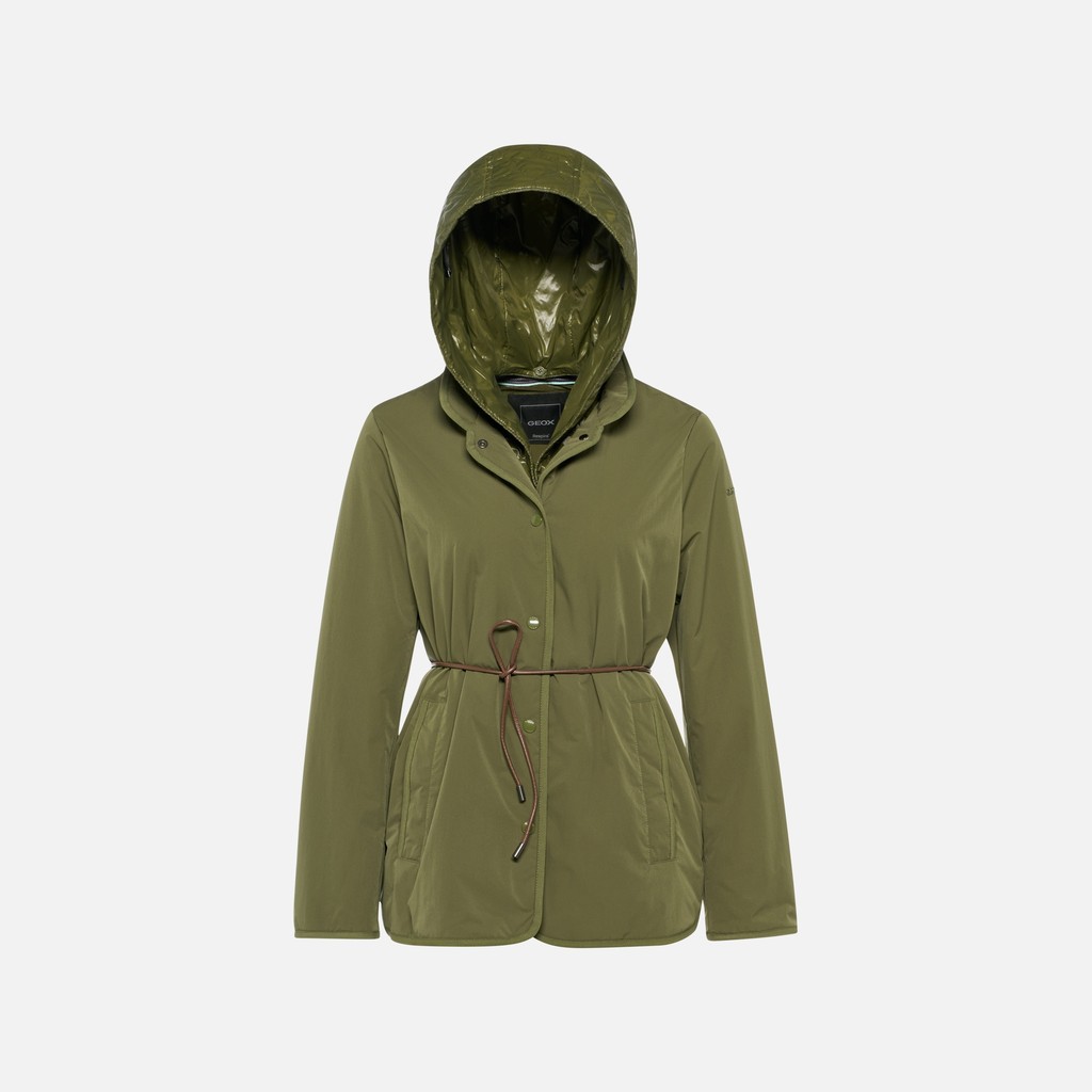Vêtements Plummery Femme Vert Olive